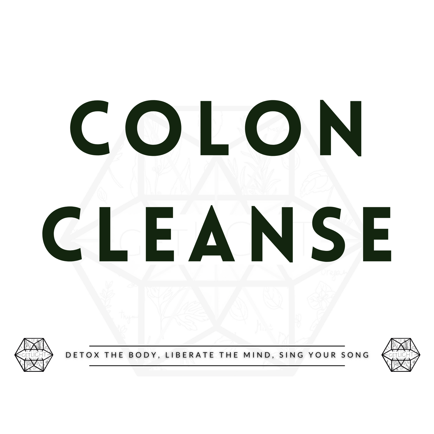 Colon Cleanse + Microbiome (Partial) + Daily Guide